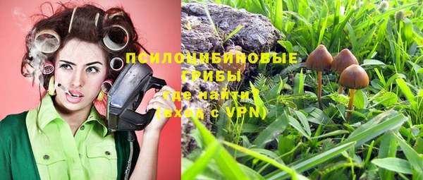 дурь Лихославль