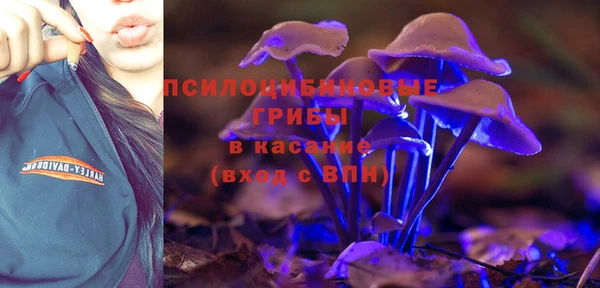 прущий лед Липки