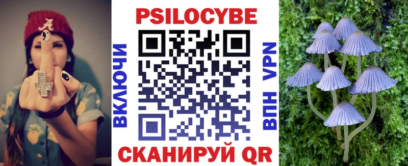 Купить Заречный Псилоцибиновые грибы GOLDEN TEACHER